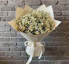 Букет цветов из:  Ромашки #REPLACE_PRED# Суханово