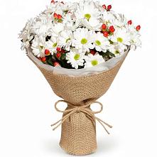 Букет цветов из:  Хризантемы #REPLACE_PRED# Суханово